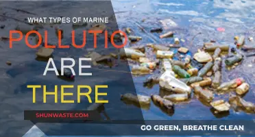 Understanding Marine Pollution: Types and Their Impact
