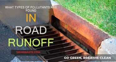 Road Runoff: Pollutants Threatening Our Waterways