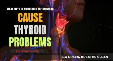 Uncover the Hidden Thyroid Pollutants: A Comprehensive Guide