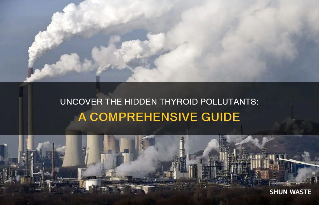 what types of pollutants are known to cause thyroid problems