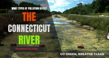 Connecticut River Pollution: Understanding the Key Contaminants