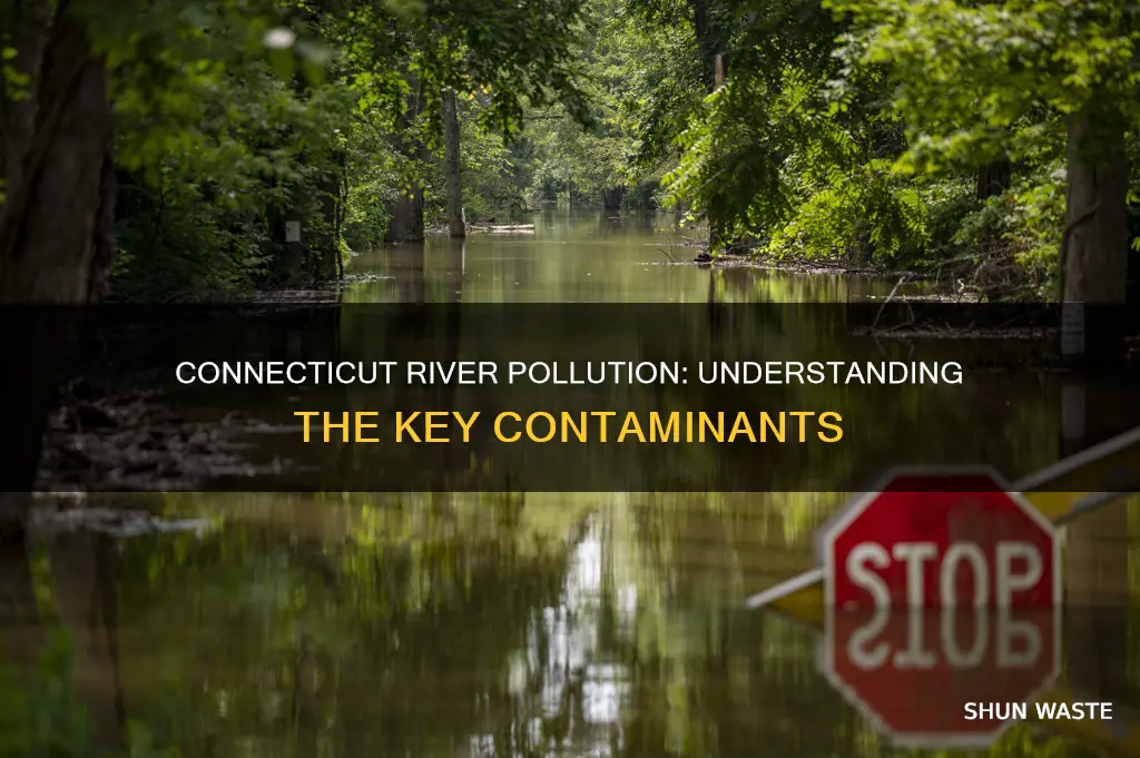 what types of pollution affect the connecticut river