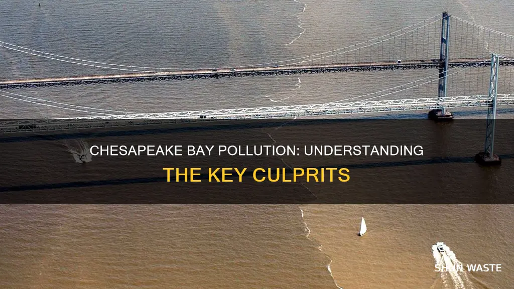 what types of pollution affects the chesapeake bay