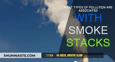Smoke Stacks: Polluting the Air, Water, and Soil