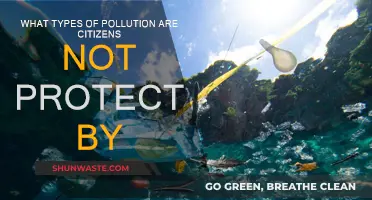 Protecting Citizens: Pollution's Many Forms
