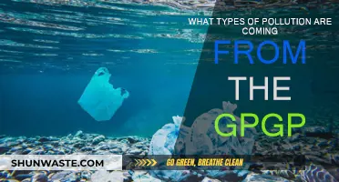The GPGP's Pollution: Understanding Its Diverse Impact