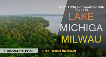 Milwaukee's Lake Michigan: Understanding the Pollution Crisis