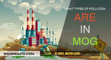 Mog's Pollution Types: Understanding the City's Environmental Challenges