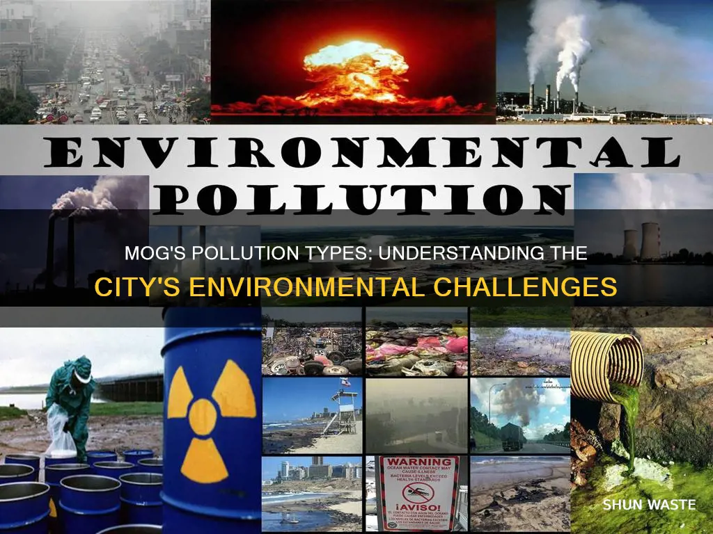 what types of pollution are in mog