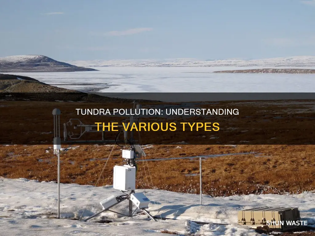 what types of pollution are in the tundra