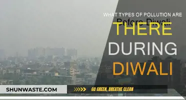 Diwali's Pollution: Air, Water, and Noise