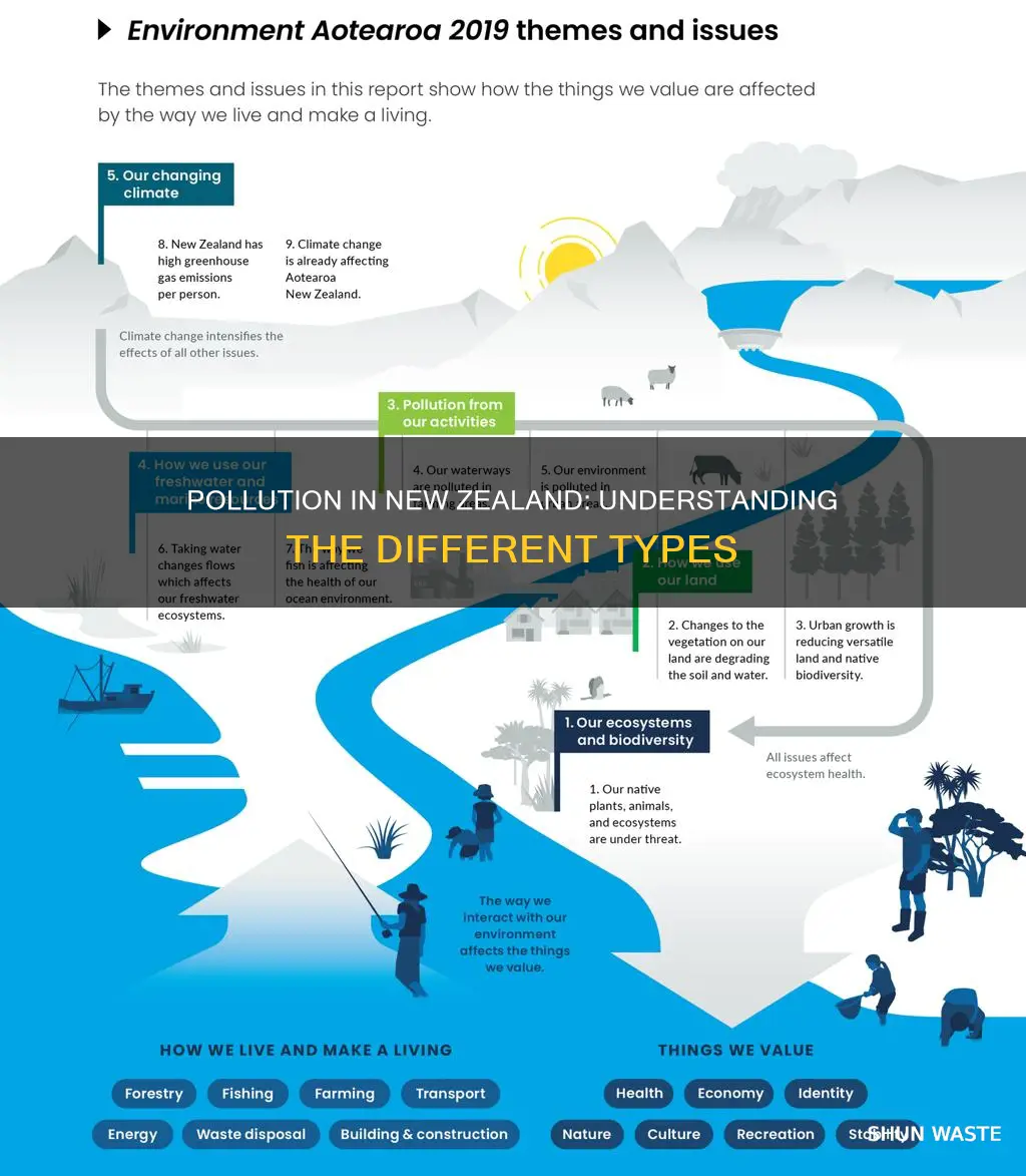 what types of pollution are there in nz