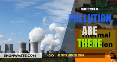 Pollution Types: Understanding the Many Ways We Pollute