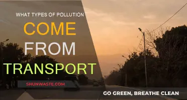 Transportation's Pollution: Understanding Its Diverse Environmental Impact