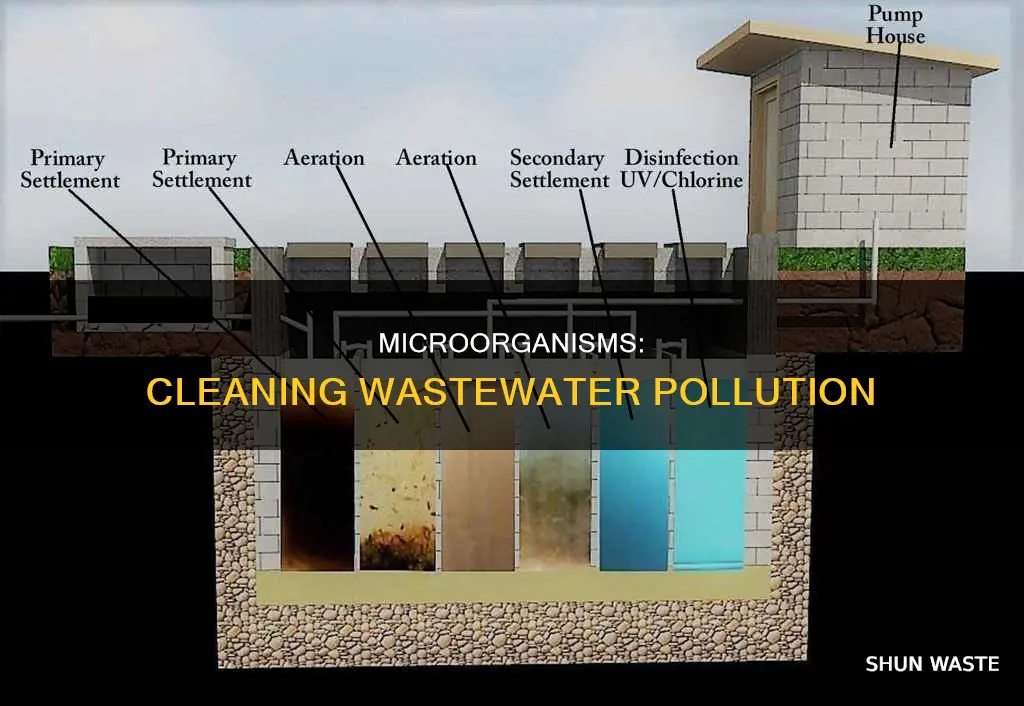 what types of pollution do microorganisms remove from real wastewater