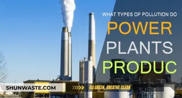 Power Plants and Their Pollution Problems