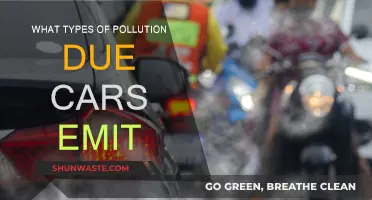 Cars: Understanding Their Pollution Emissions