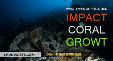Pollution's Impact: Coral Growth and Health