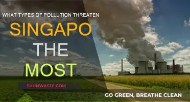 Singapore's Pollution Threats: Understanding Key Challenges