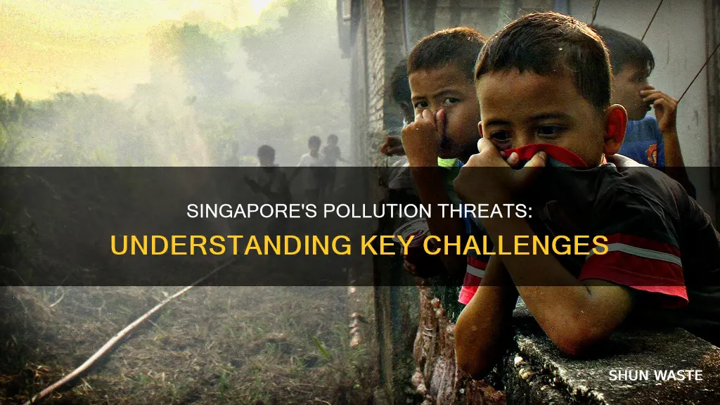 what types of pollution threaten singapore the most