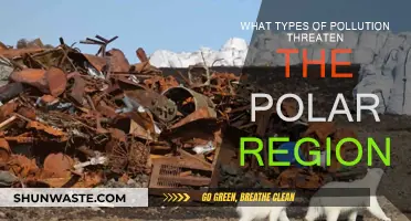Pollution's Threat to Polar Regions: Understanding the Danger