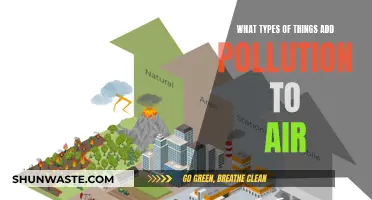Air Pollutants: Sources and Effects