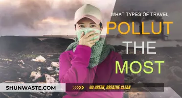 Travel's Carbon Footprint: What's the Greenest Way to Go?