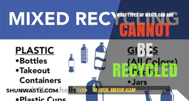 Decoding Recyclables: A Guide to What Can and Can't Be Recycled