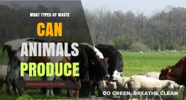 Decoding the Different Types of Waste Produced by Animals