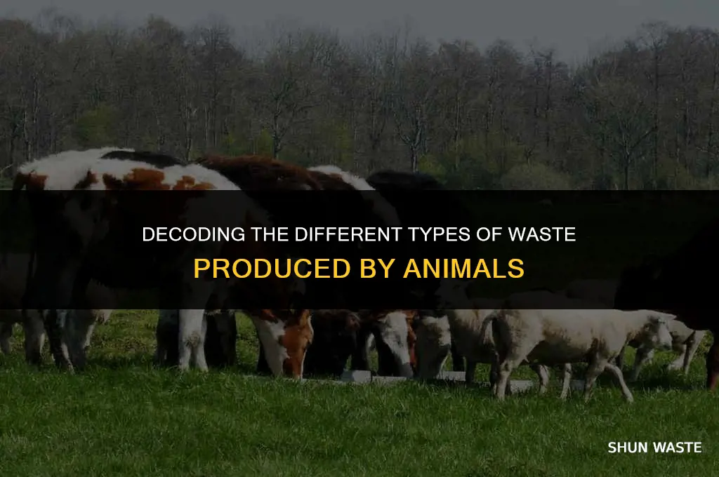 what types of waste can animals produce