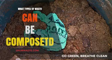 Eco-Friendly Disposal: Exploring the Types of Waste Suitable for Composting