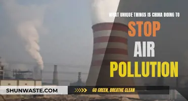 China's Unique Strategies to Combat Air Pollution