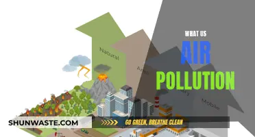 Air Pollution: A Global Health Crisis