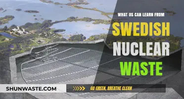 Sustainable Solutions: Lessons from Sweden's Nuclear Waste Management