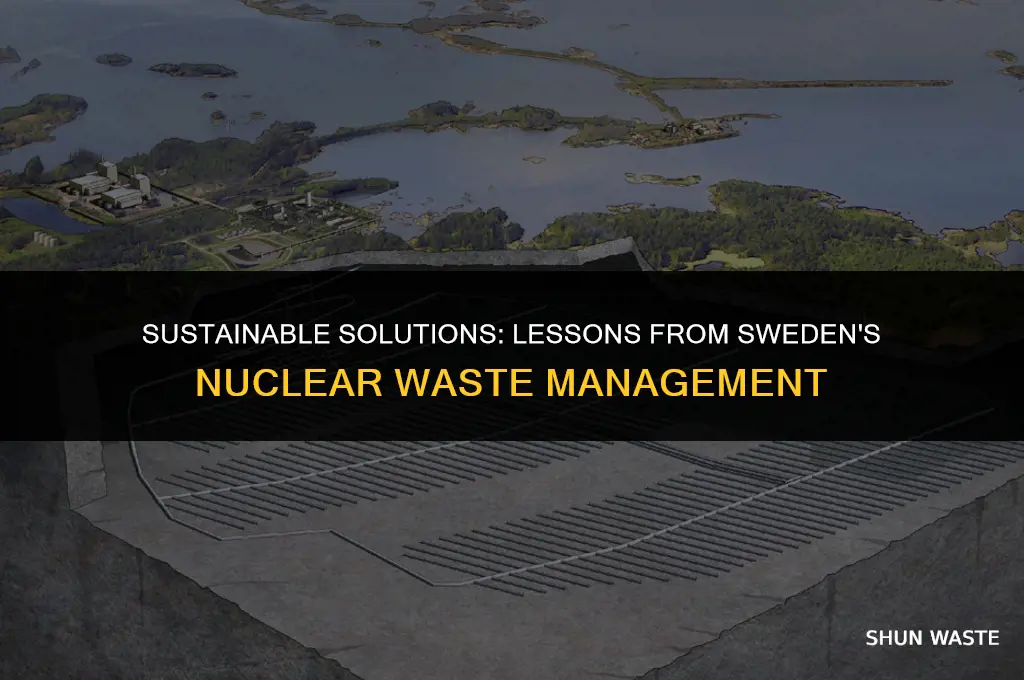 what us can learn from swedish nuclear waste