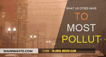 American Cities: Pollution's Worst Offenders