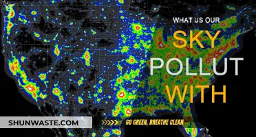 The Sky's the Limit: Pollution's Impact