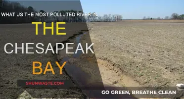 Chesapeake Bay's Most Polluted River: A Troubled Waterway