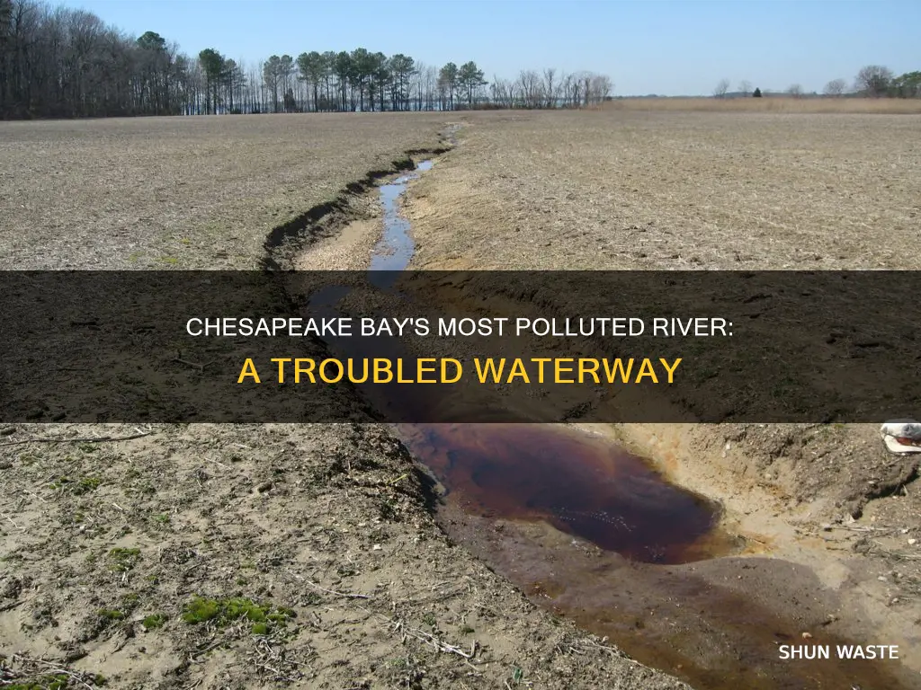 what us the most polluted river in the chesapeake bay