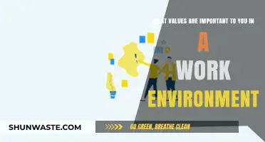 Cultivating a Positive Workplace: Values That Drive Success and Satisfaction