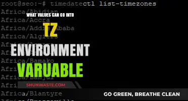 Understanding the TZ Environment Variable: Valid Values and Usage Explained