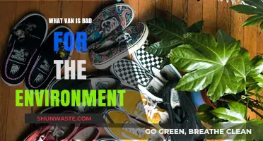 The Environmental Impact of Vans: Which Models Harm Our Planet?