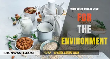 Eco-Friendly Vegan Milk Options: Sustainable Choices for a Greener Planet