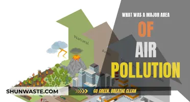 Air Pollution's Major Impact: A Historical Perspective
