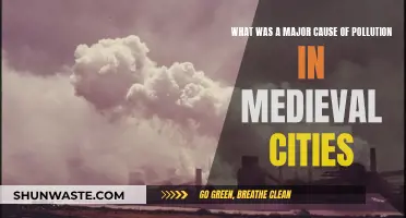 Medieval City Air: Unveiling the Smog of the Past