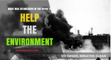 1970s Environmental Milestones: Key Initiatives Shaping a Greener Future