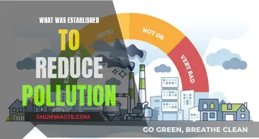 Initiatives to Reduce Pollution: What's Working?