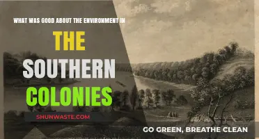 Southern Colonies' Environmental Advantages: A Historical Perspective on Nature's Gifts