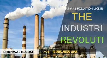 Industrial Revolution's Dark Legacy: Pollution's Birth