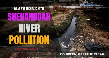 Unveiling the Source: Shenandoah River Pollution Mystery